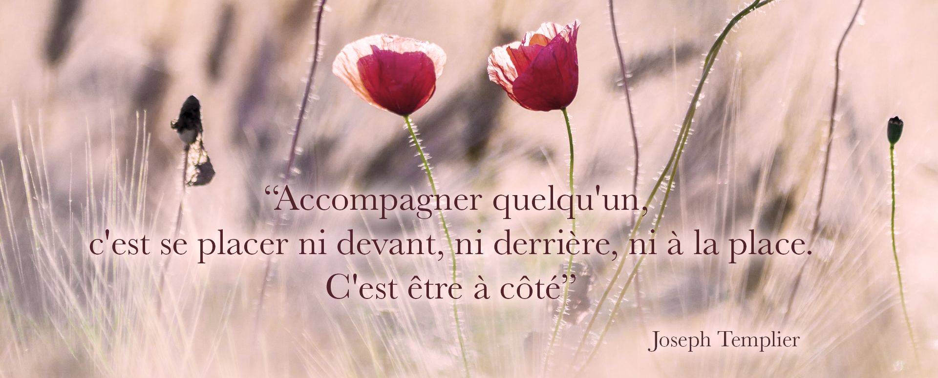 Accompagner quelqu'un